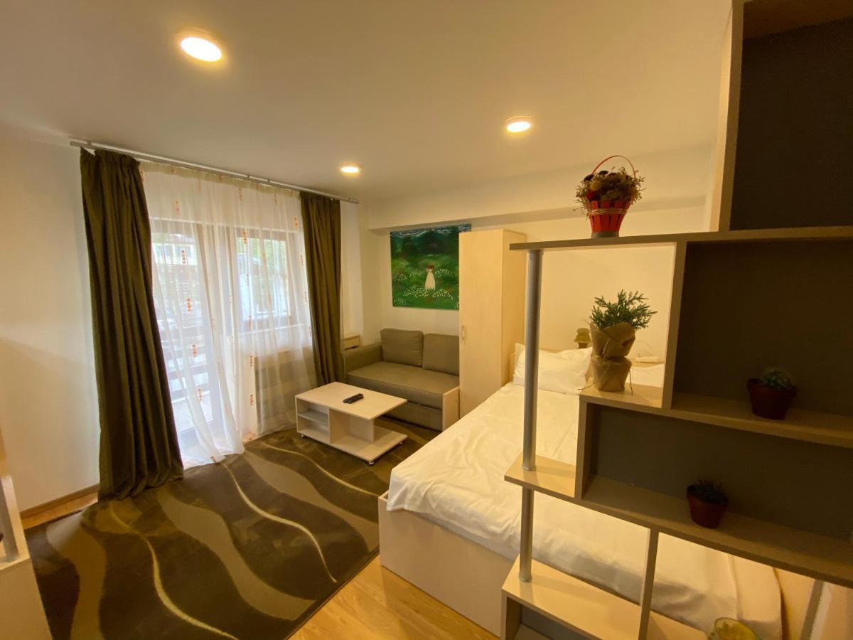Sinaia Chic Minisuite Mirage-Self Check-In&Free Parking Buitenkant foto