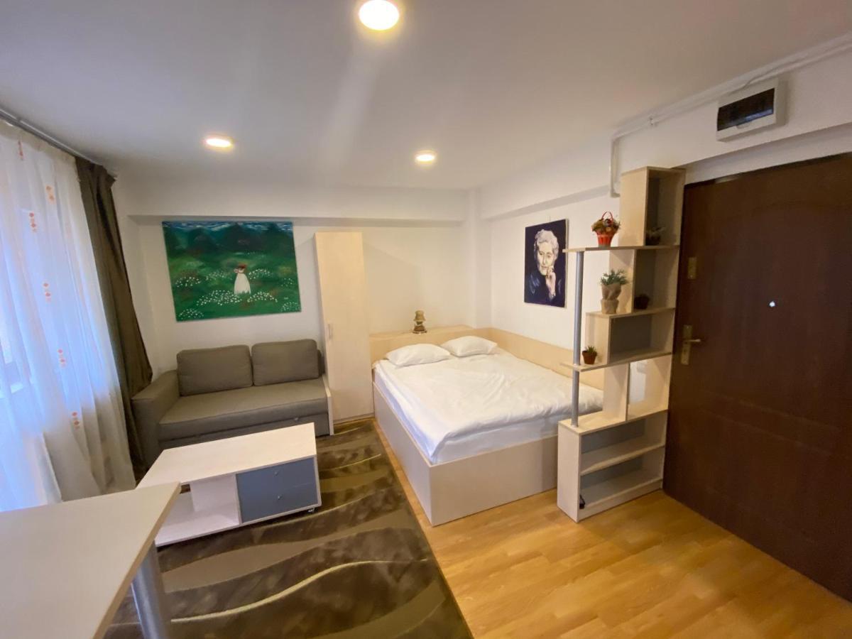 Sinaia Chic Minisuite Mirage-Self Check-In&Free Parking Buitenkant foto