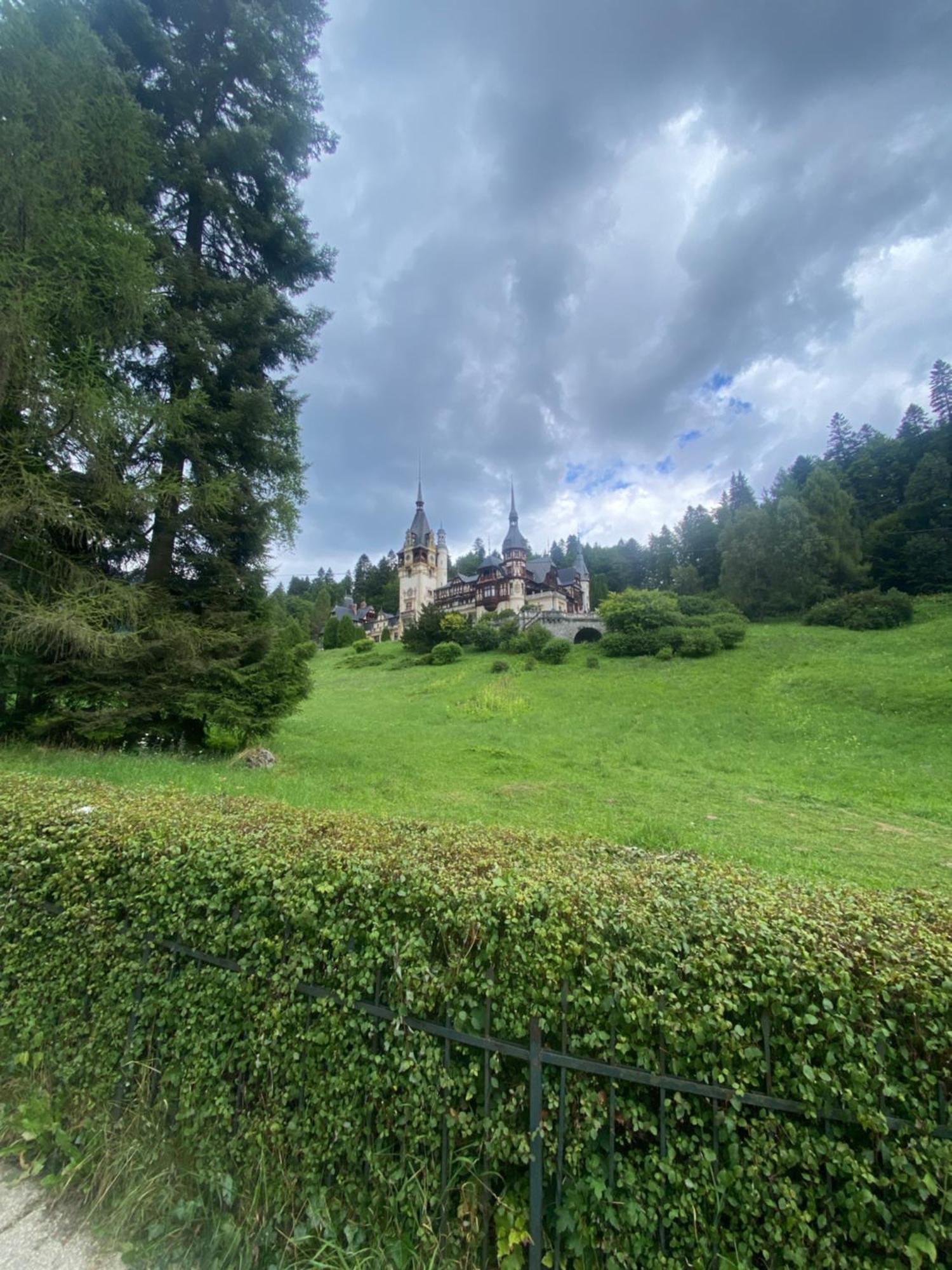 Sinaia Chic Minisuite Mirage-Self Check-In&Free Parking Buitenkant foto