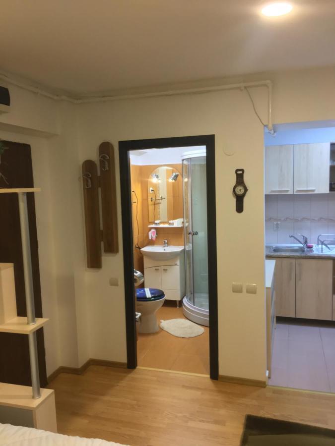 Sinaia Chic Minisuite Mirage-Self Check-In&Free Parking Buitenkant foto